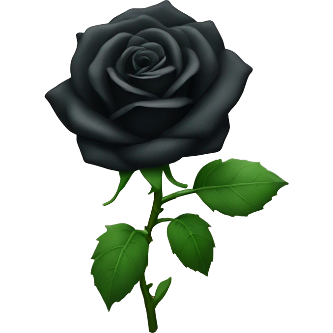 A singular black rose with green stem  emoji