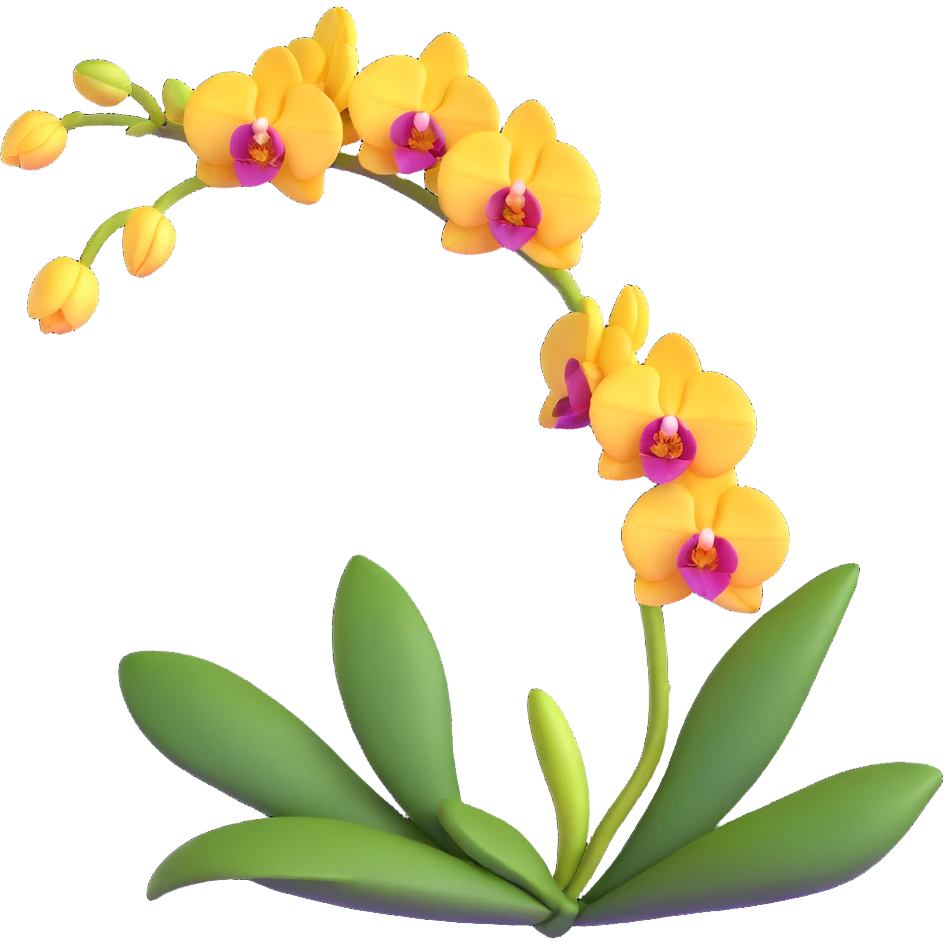 Realistic single orchid stem with multiple flowers arranged along one elegant arching stalk with green leaves emoji