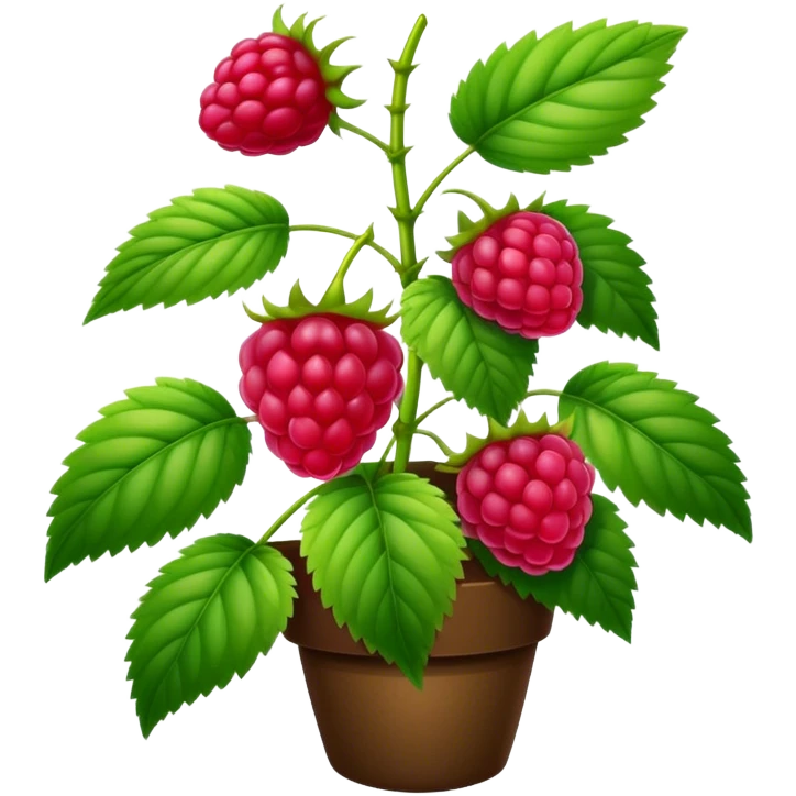Raspberry plant  emoji