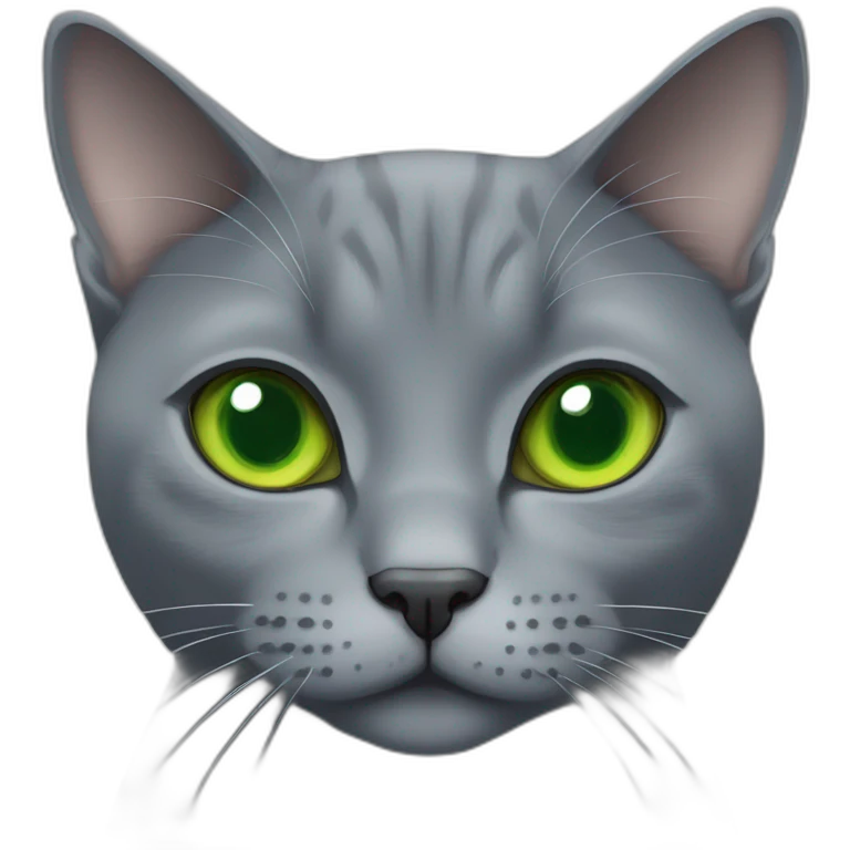 round faced grey russian blue cat with green eyes and fat emoji