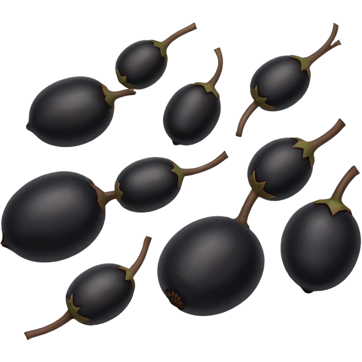 6 black lentils, simple and clear emoji
