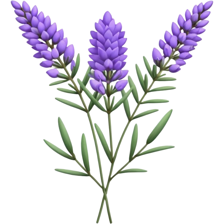 Lavender emoji