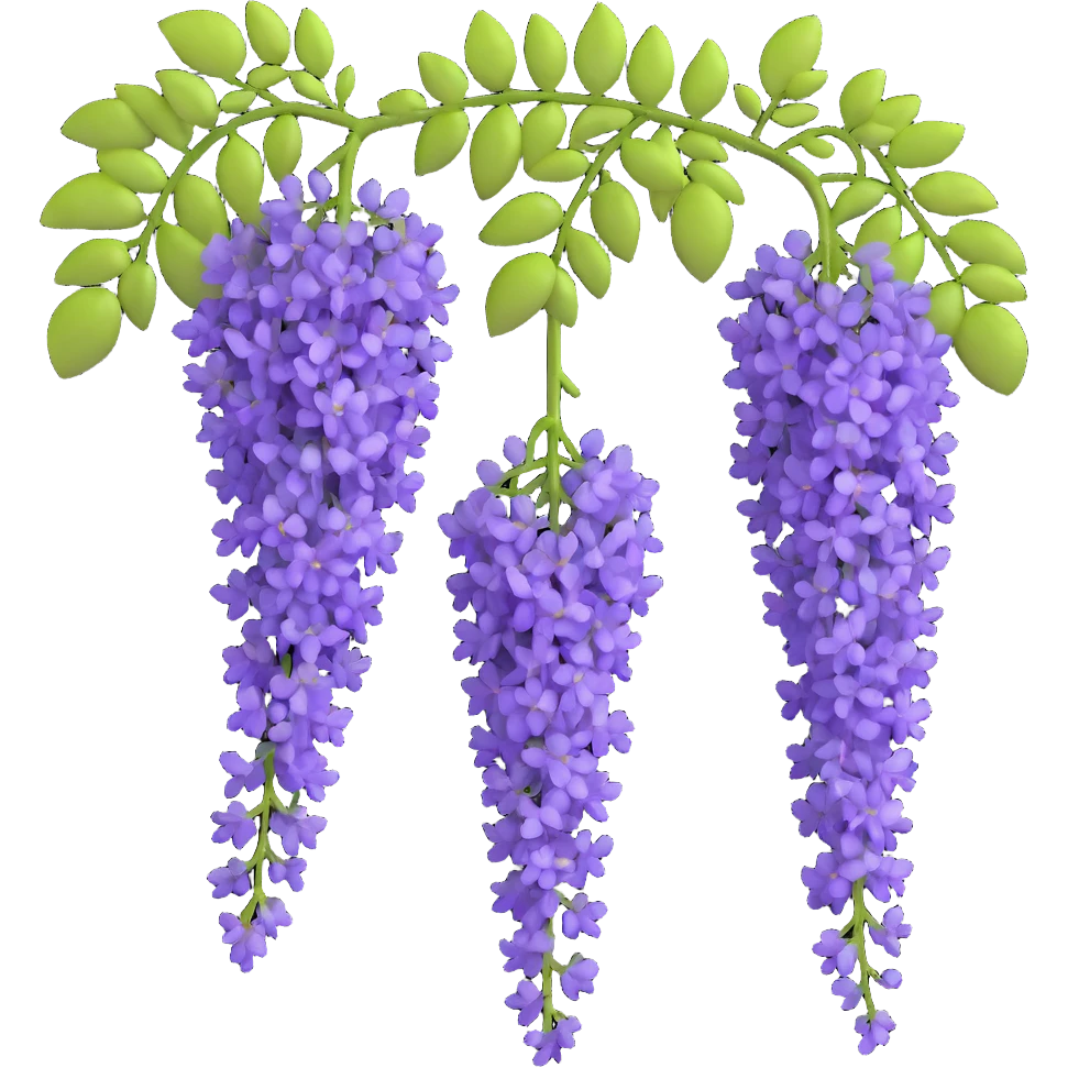 Realistic hanging wisteria racemes with detailed grape-like clusters of lavender flowers cascading downward, accompanied by light green compound leaves emoji
