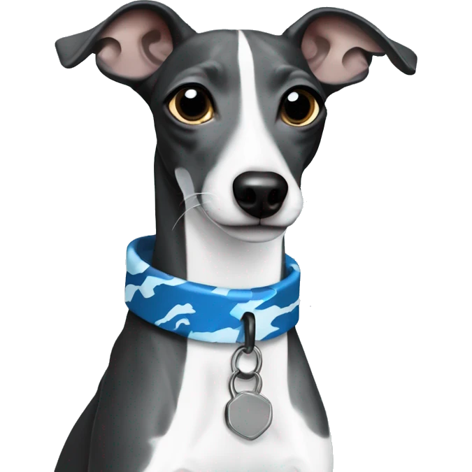 Black and white Italian greyhound with blue camo collar emoji