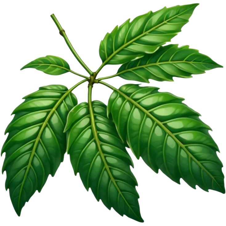 hoja de cafeto emoji