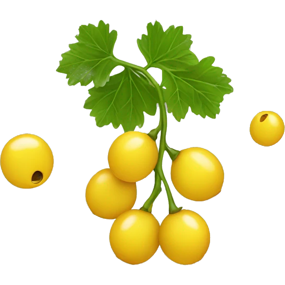 currant fruit emoji