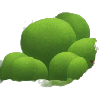 Plant crashing into a tower  emoji