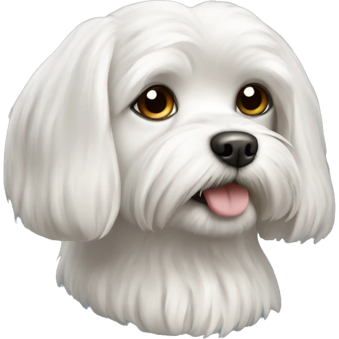 Dog maltese emoji