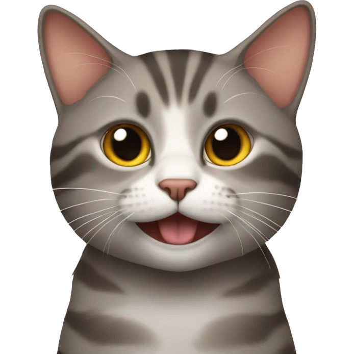 cat with iphone emoji