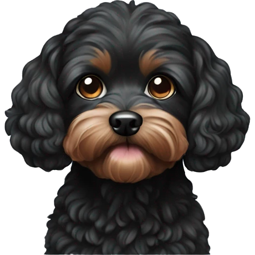 Black cavapoo emoji
