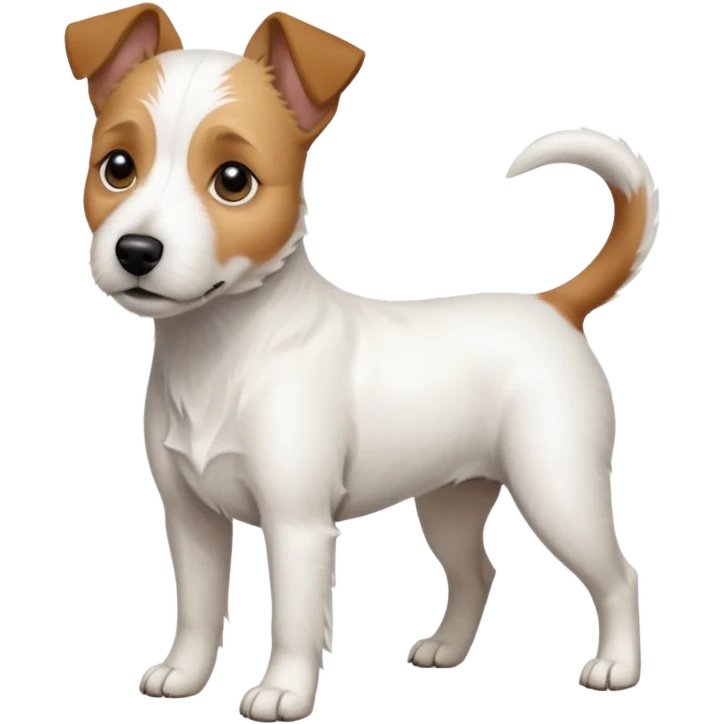 a full body slightly chubby white parson russell terrier looking dog the size of a kelpie with light brown long ears and a light brown patch on one eye and a large snout emoji