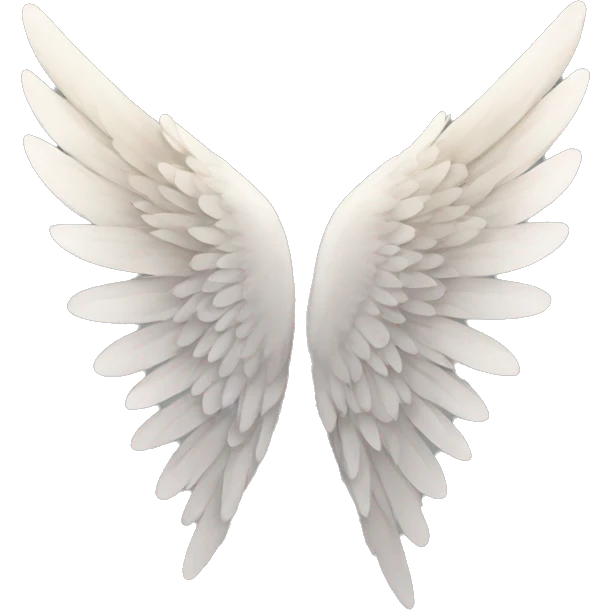 wing emoji