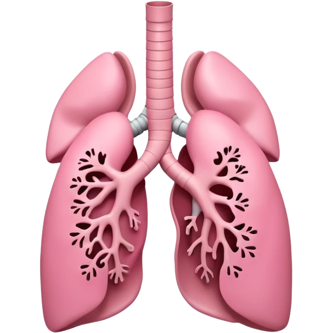 A 3D cartoon anatomical illustration of human lungs with trachea and bronchi, soft lighting, Memoji-style. emoji