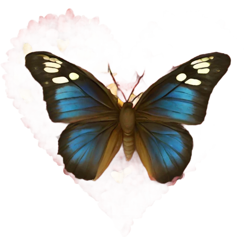 Heart with butterflies  emoji