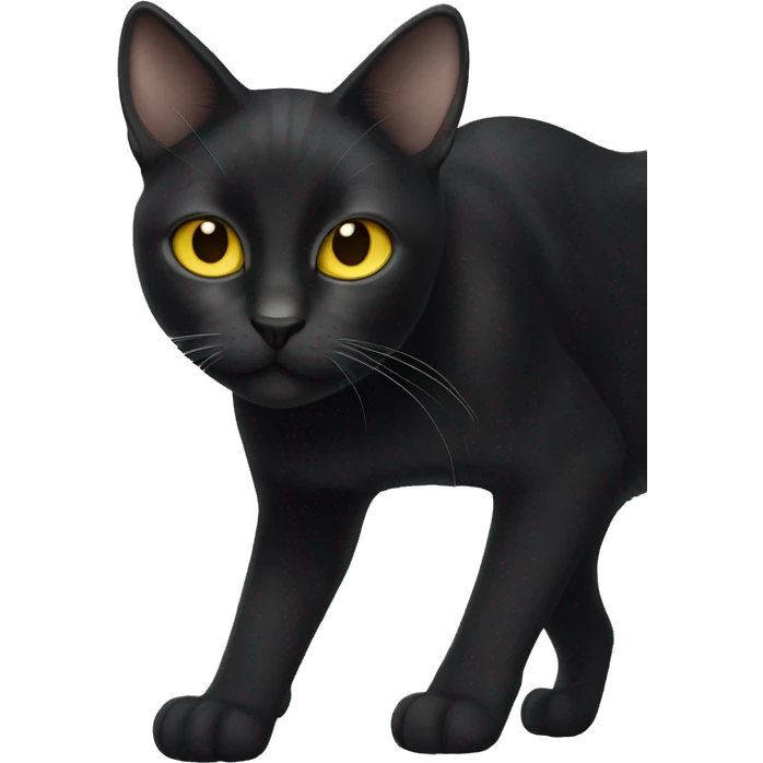 Black cat, with white stripe from the middle of the eyes to the chin, with yellow eyes emoji