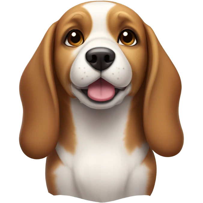 Cute beagle dog with short ears and is medium brown and white that’s cute and a little chubby that is really cute  emoji