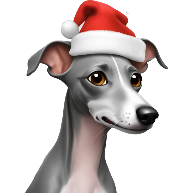 grey italian greyhound with santa hat emoji