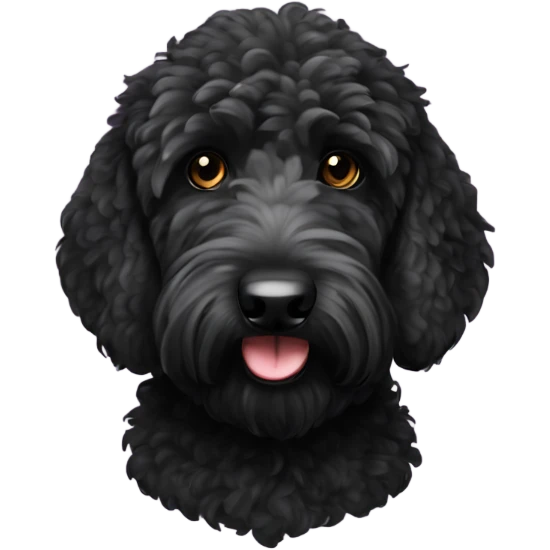 Black golden doodle with white spot on chest  emoji