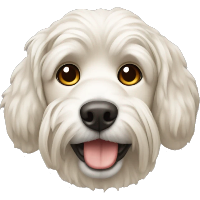 A Maltés dog  emoji