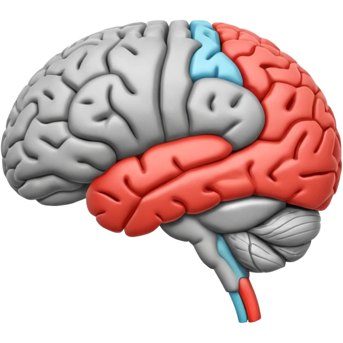 emoji icon of side view of an anatomically correct human brain with details of the brain structure and in detailed 3d rendring, colored to highlight different sections emoji