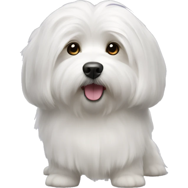 white long hair coton de tulear dog emoji