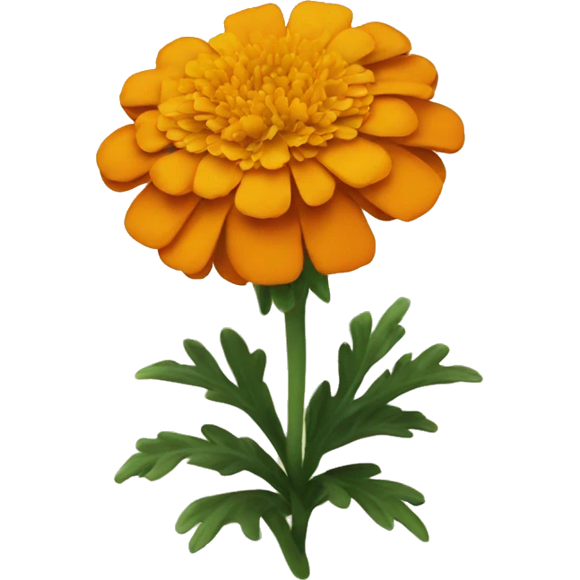 a marigold flower emoji
