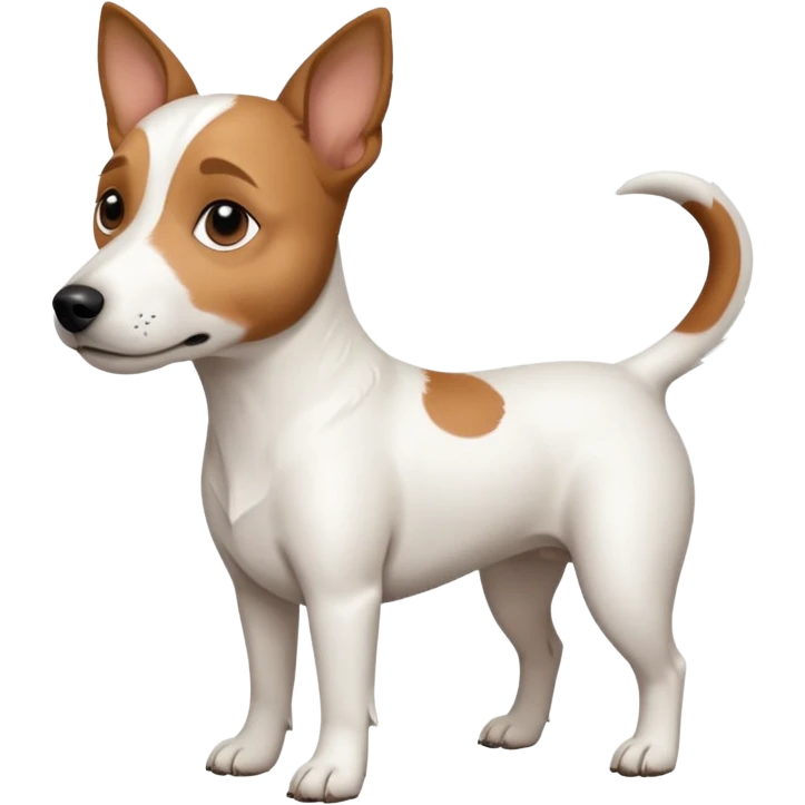 a full body white jack russel looking dog the size of a kelpie with light brown ears and a light brown patch on one eye, flopped down ears and a large snout emoji