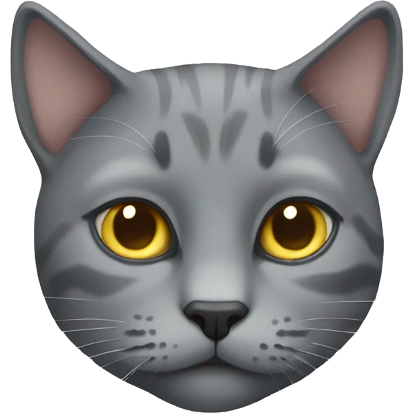Grey cat  emoji