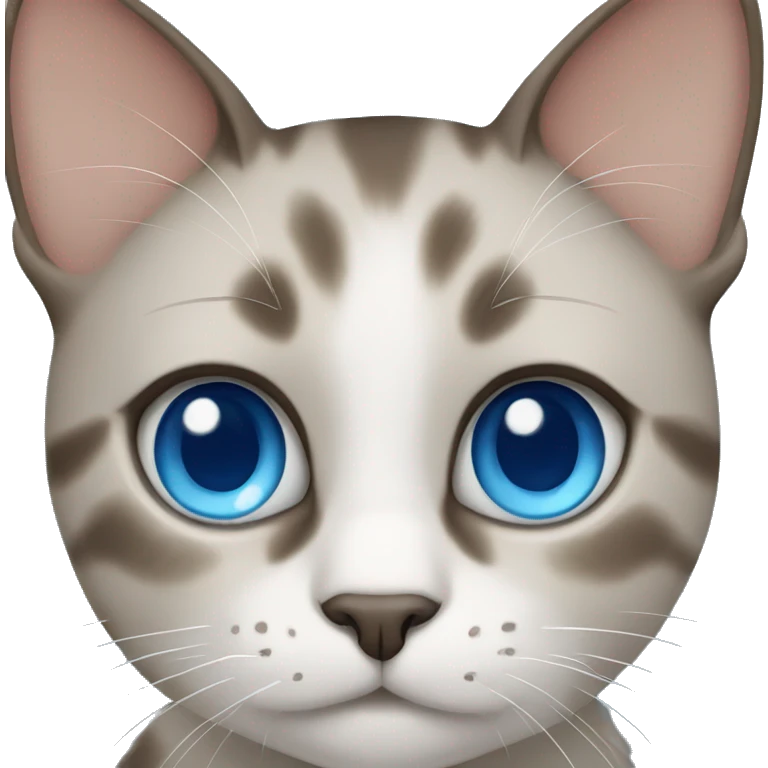 Cat with blue eyes  emoji