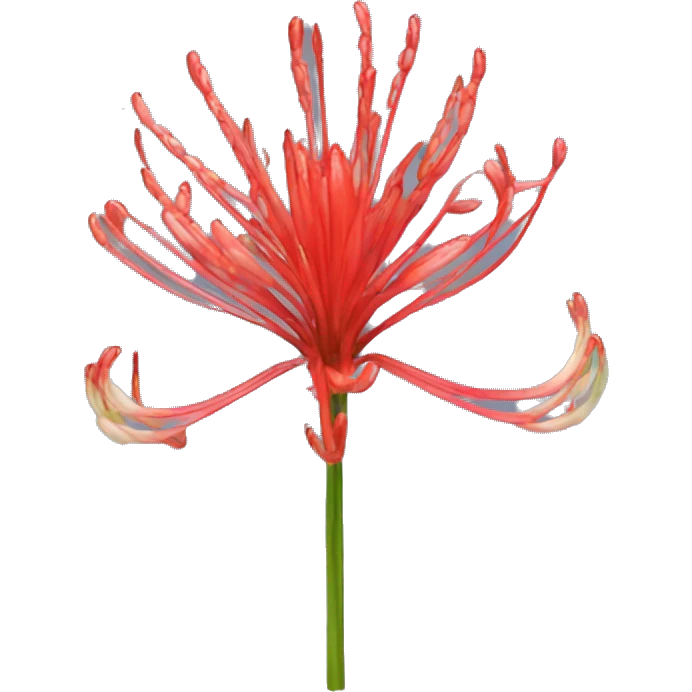 Lycoris emoji