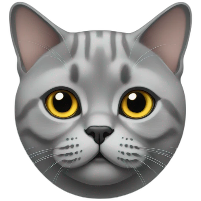 British shorthair emoji