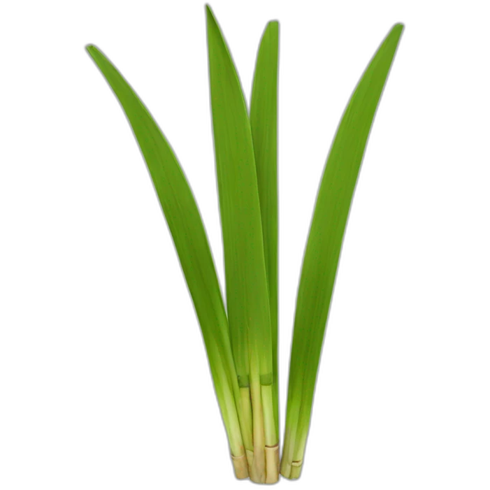 lemon grass emoji