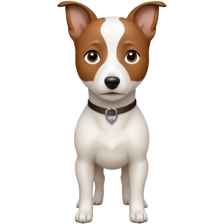 a fully white jack russell the size of a kelpie with a half white face emoji