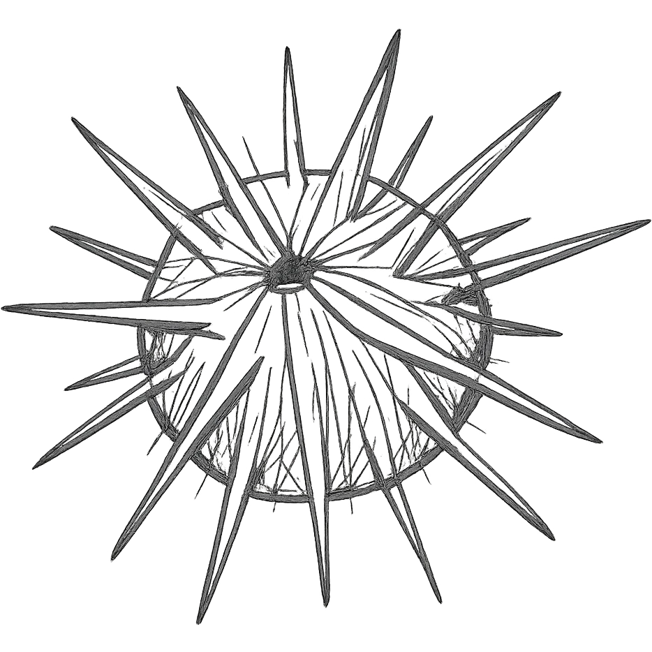 Make the sea urchin shape more realistic, keeping the dangerous spikes, with a transparent background, in a hand drawn icon style with no fill, focusing on detailed and realistic spikes and shape. emoji