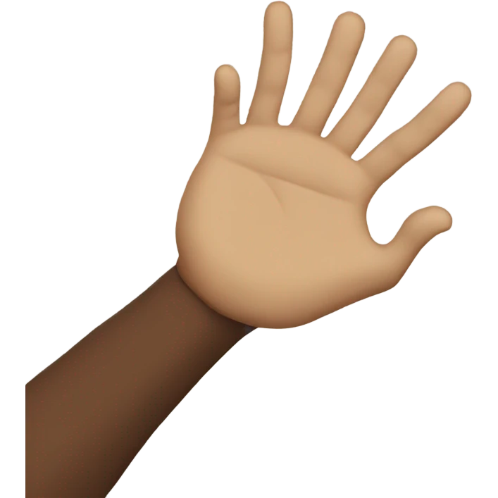 talk to the hand emoji