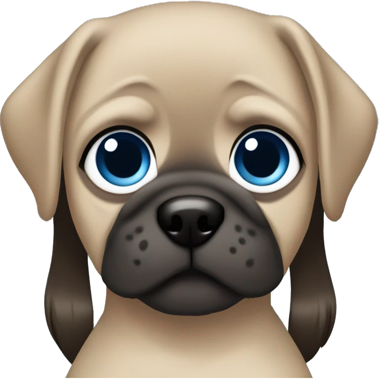 Brunette girl with straight hair and blue eyes with pug emoji