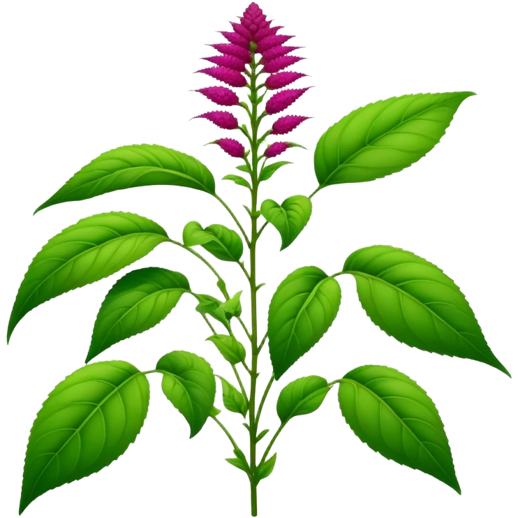 real Amaranth plant  emoji