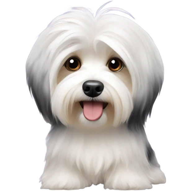 Havanese AKC dog show emoji