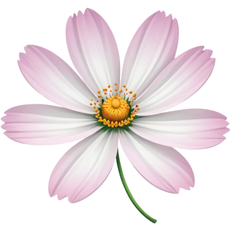 cosmos flower, white petals, delicate look emoji
