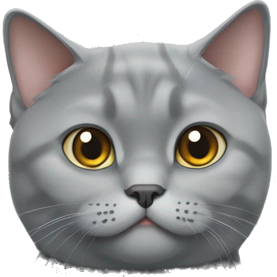 British shorthair grey cat emoji