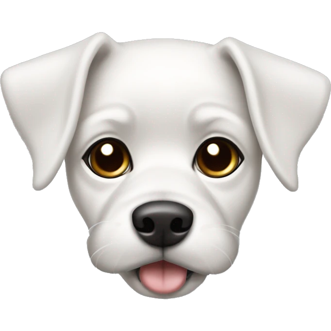 white maltes dog, with black ears and black side aroud the left eye. Brigth brown eyes emoji