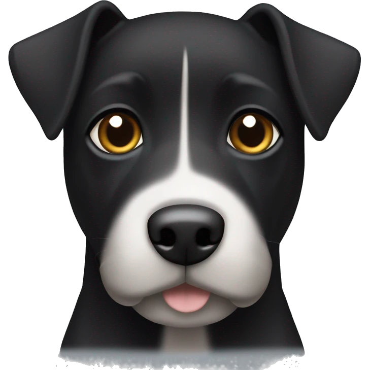 A black Patterdale Terrier dog with a white patch on its chest and brown eyes. emoji