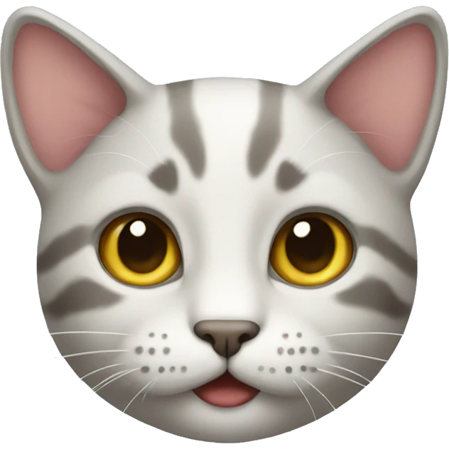 a cat emoji