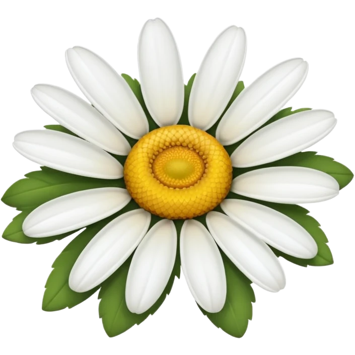 daisy flower with white petals emoji