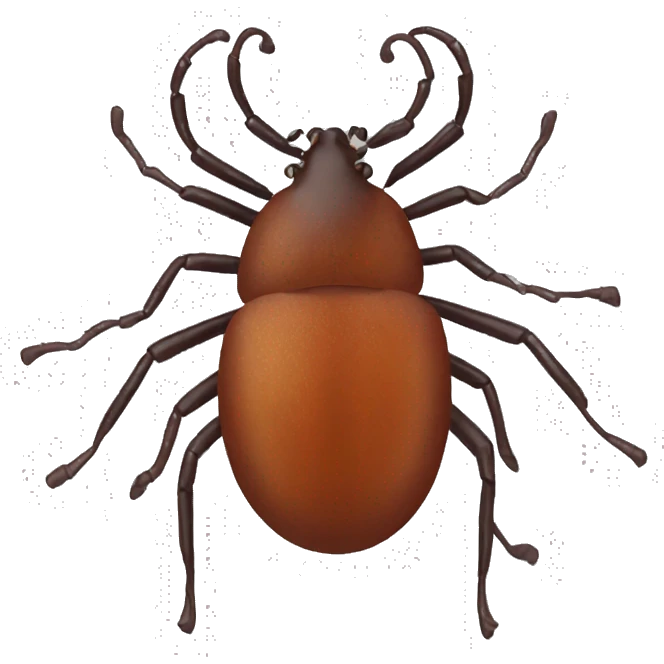 Veryfied tick emoji