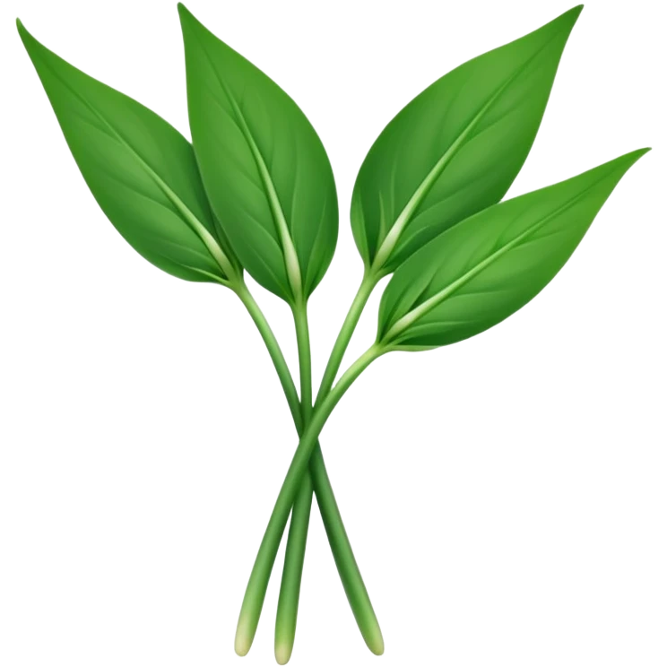 single sprig or small cluster of wild garlic leaves with smooth, elongated, lance-shaped blades, rich vibrant green color, soft central veins, fresh slightly glossy surface, gently arching from slender stems, no roots, no soil, no extras, apple emoji style, soft lighting, subtle shadows, emoji scale emoji
