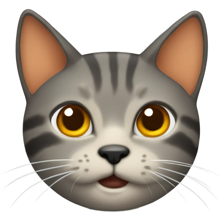 gato naranja tomando mate emoji