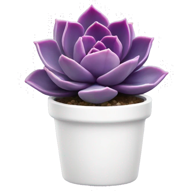 Purple echeveria succulent in white pot emoji