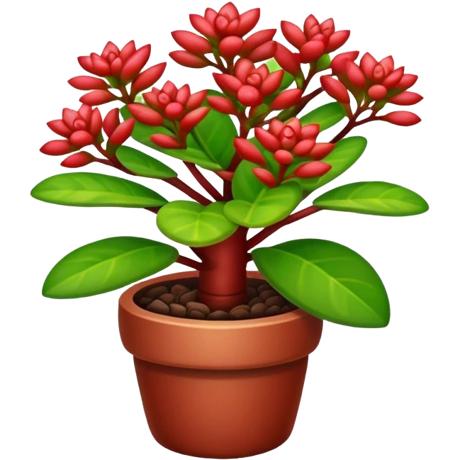 Crassula Ovata Golum emoji