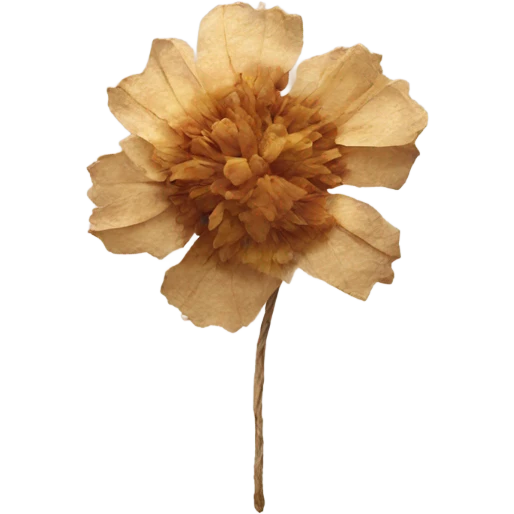 dried flower emoji